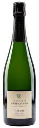 Agrapart & Fils - Terroirs Blanc de Blancs NV (1.5L) (1.5L)