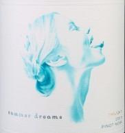 Summer Dreams - 'Twilight' Pinot Noir 2022 (750ml) (750ml)